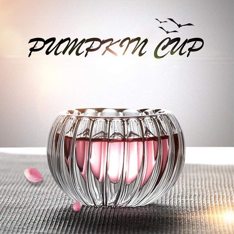 Double Wall Glass Cup