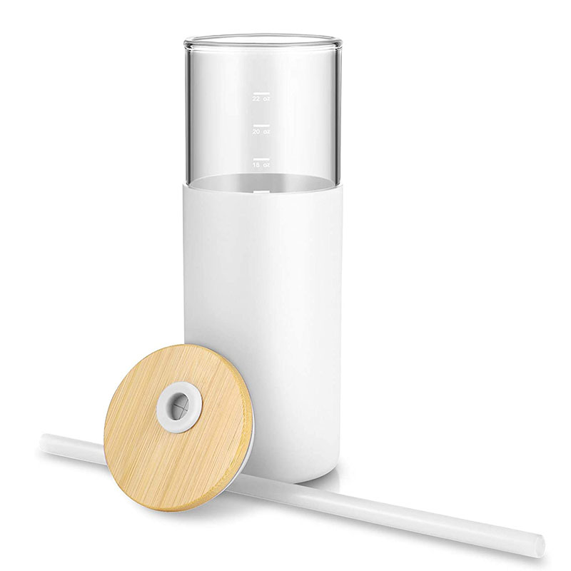 Double Wall Glass Cup